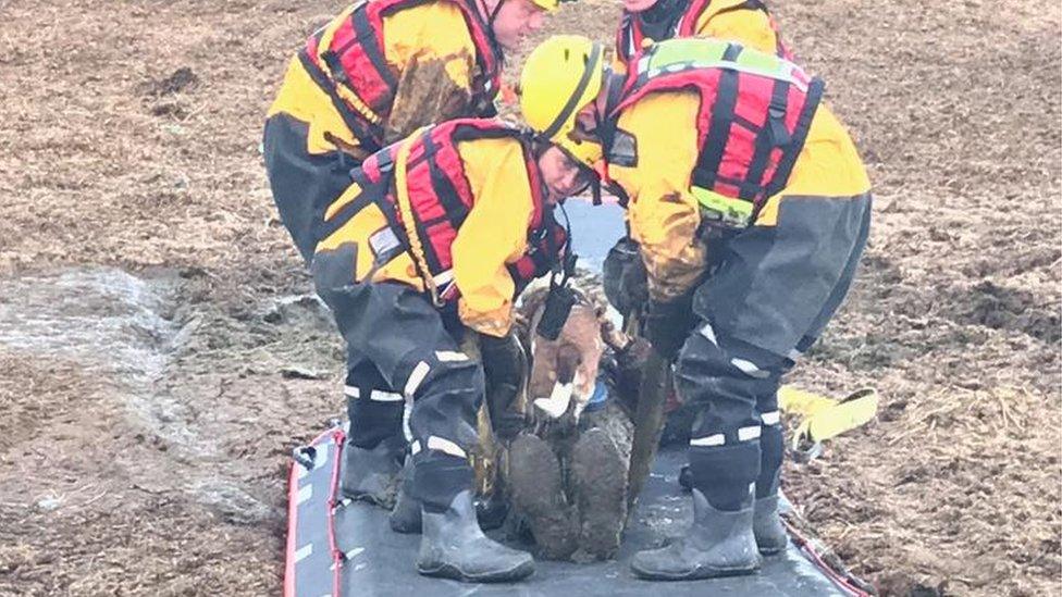 Man being rescued by firefighters