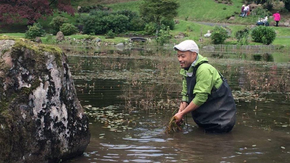 weeding at Japanese garden