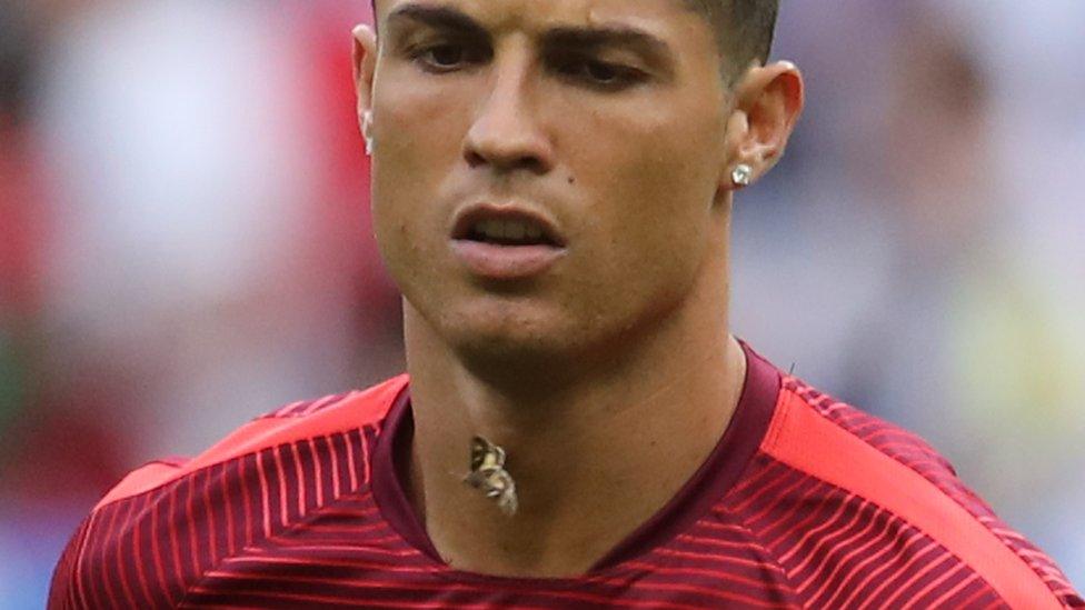 Ronaldo and his moth