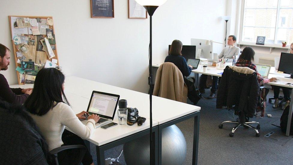 Workers with laptops at desks at the Provenance office in London