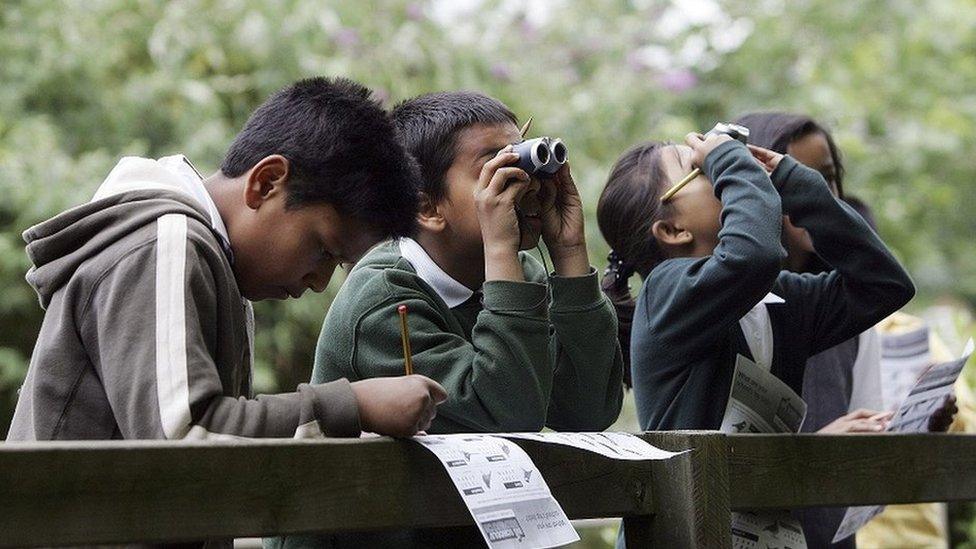 rspb big school birdwatch