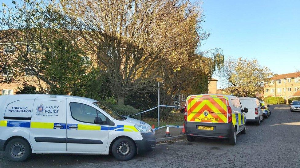 Police cars at Lesney Gardens