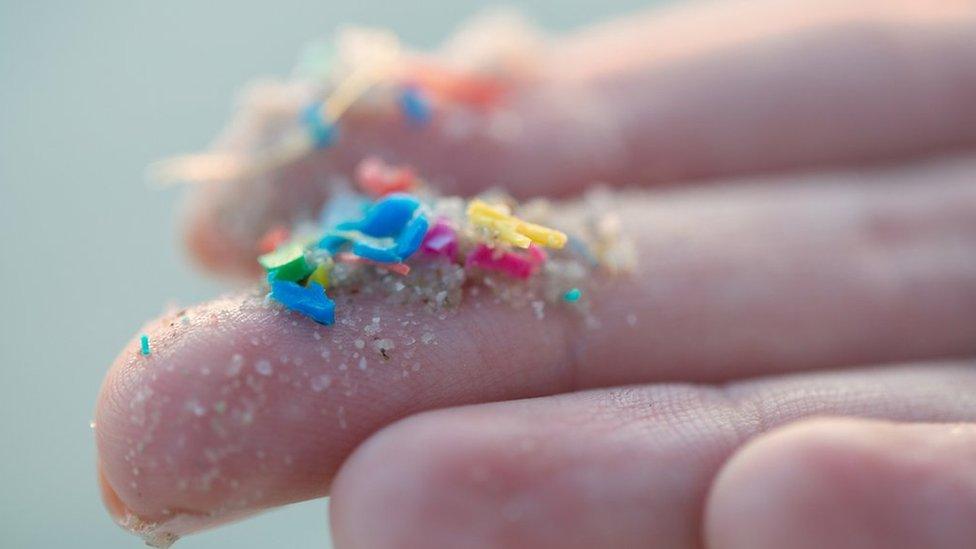 microplastic.