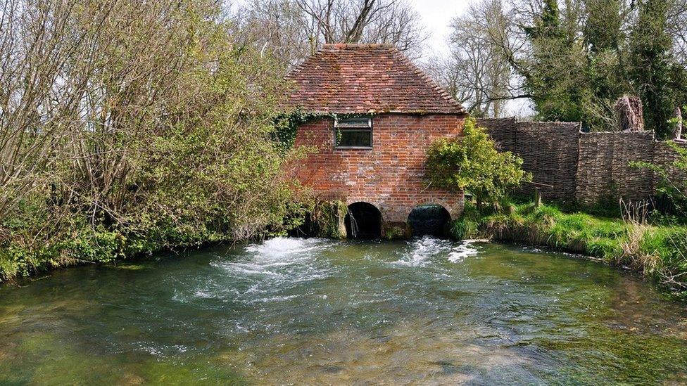 The swans were found near the eel house on the river Arle