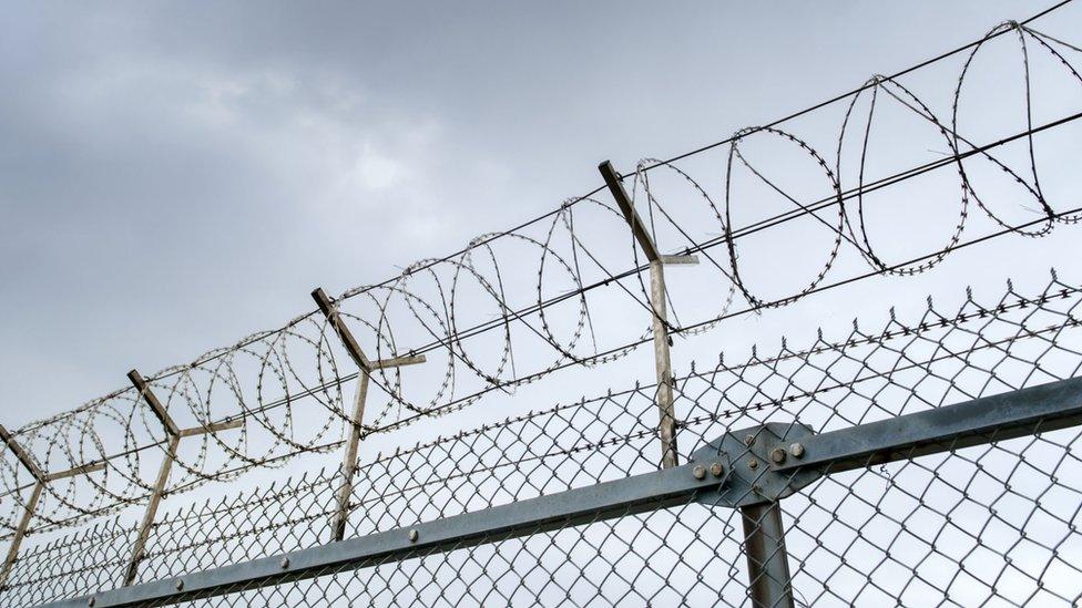 Wire fence and barbed wire