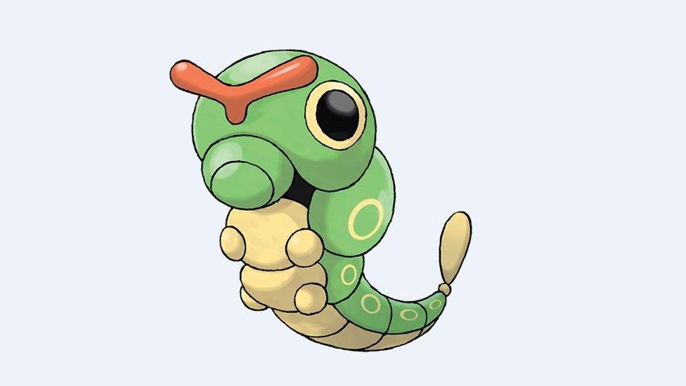 Caterpie