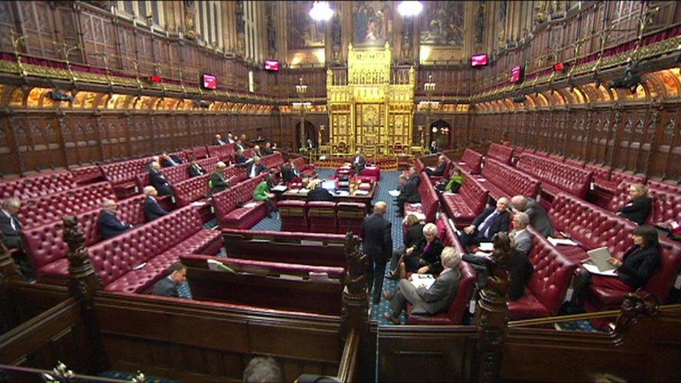 Peers in the House of Lords