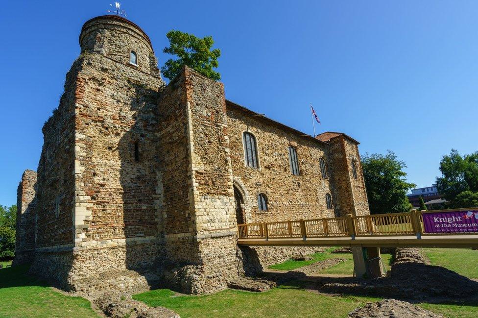 Colchester Castle tree