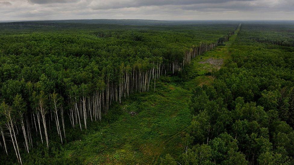 Fort McMurray, Alberta