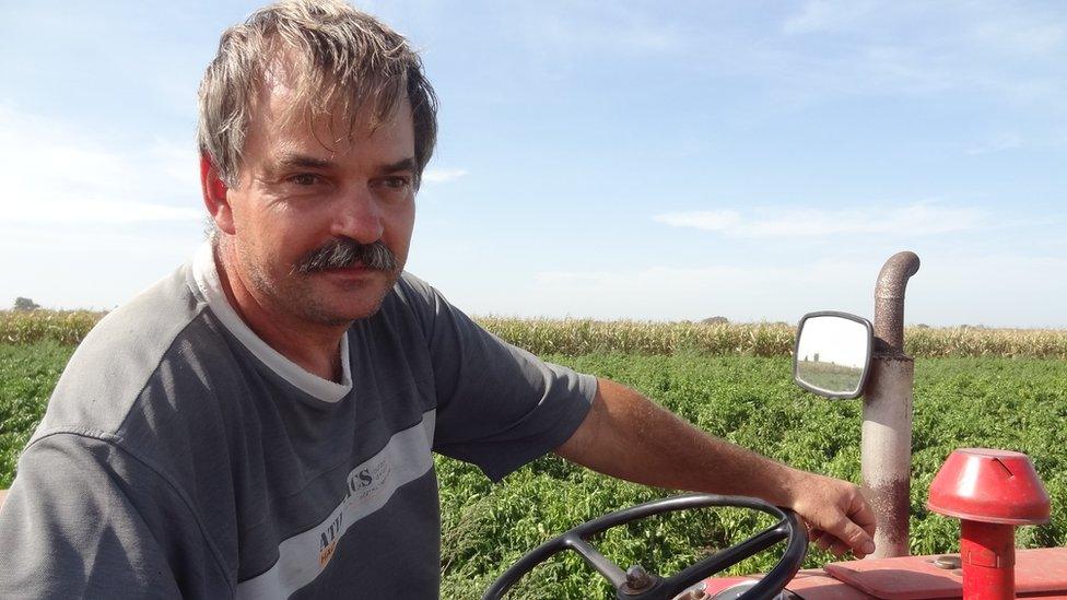 Pepper farmer Zoltan Varga near Hungarian border at Roszke