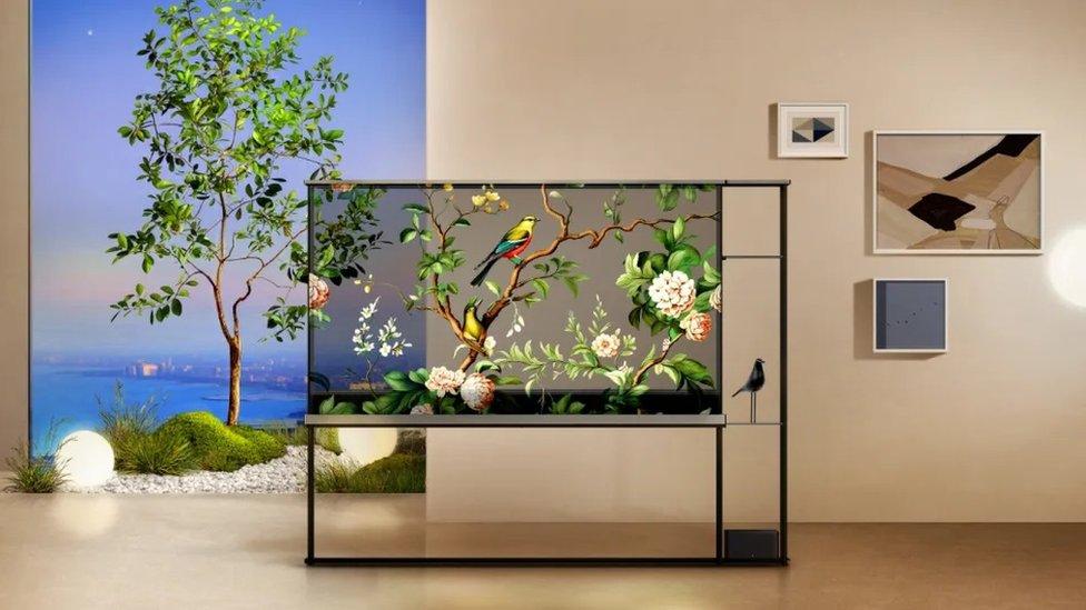 Transparent TV with nature display in room.