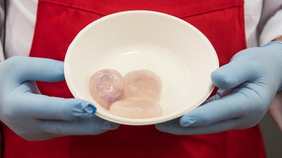 A bowl containing jellyfish