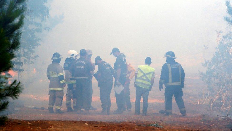 Firefighters and forensic police officers examine the place where three brigadiers of the Chilean National Forest Corporation died, 17 Jan 17, Maule