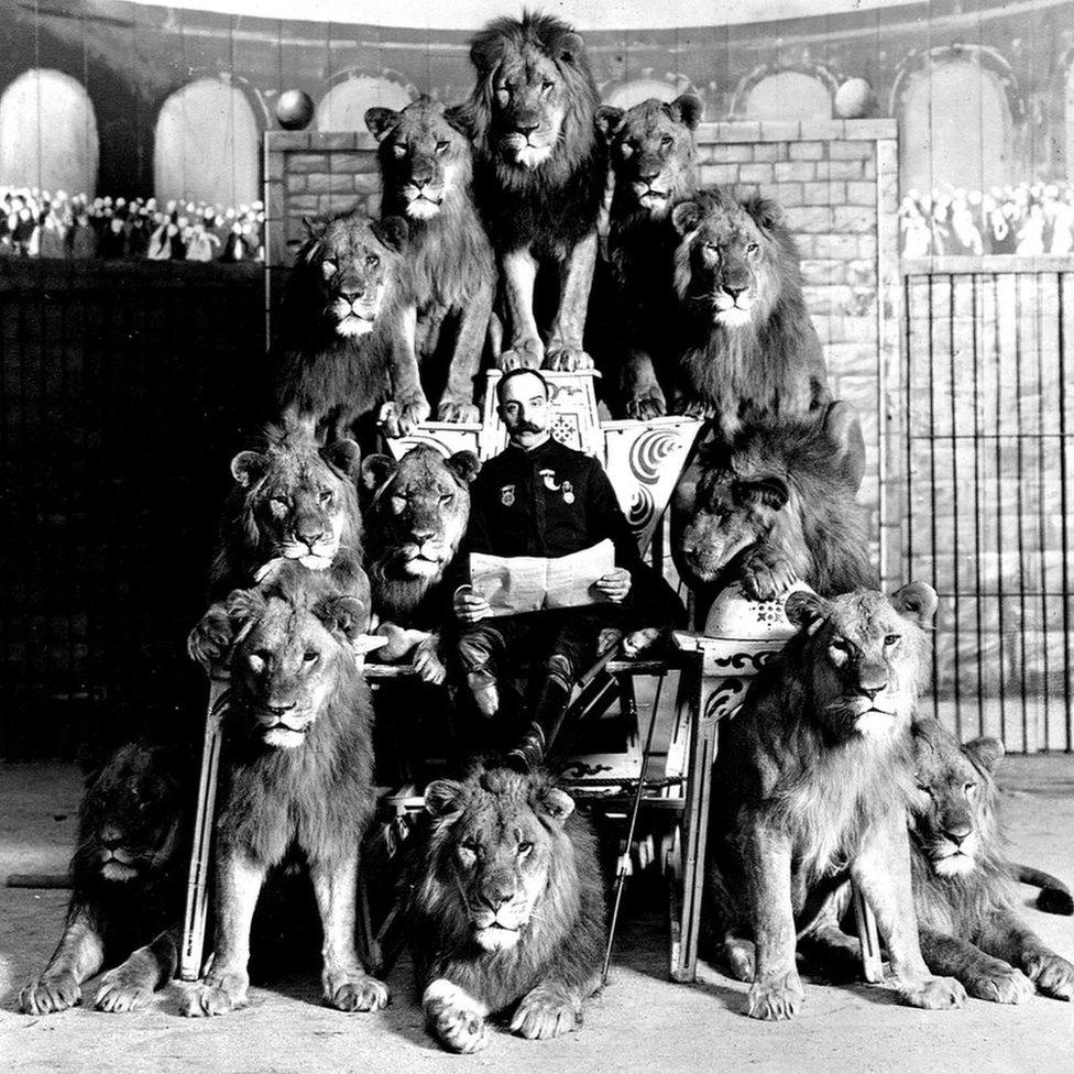 Frank C Bostock and some lions