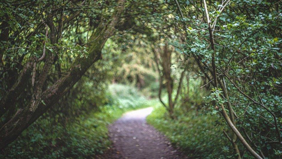 A community woodland