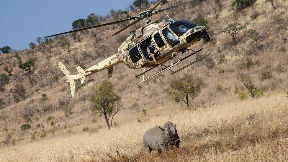 NGO chopper near rhino