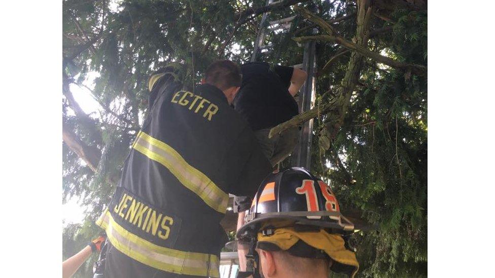 New Jersey fire department rescues woman in tree