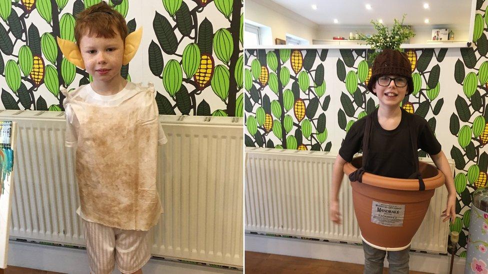 Brothers Caius and Edward have both been inspired by JK Rowling's Harry Potter books for World Book Day! Seven-year-old Caius (left) is Dobby the house elf, and nine-year-old Edward is a mandrake plant