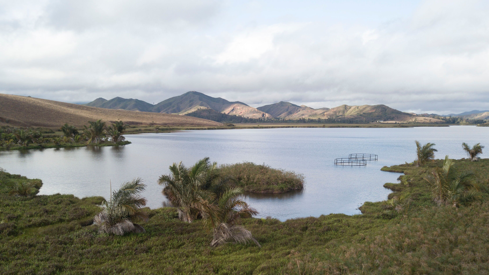 Lake Sofia and floating aviaries (c) WWT