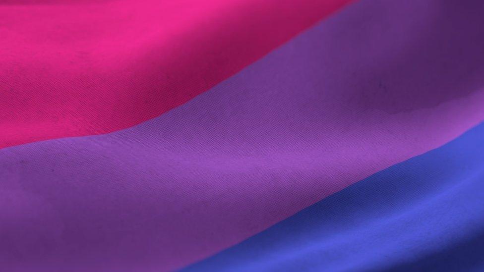 The bisexual pride flag has three colours - pink, purple and blue