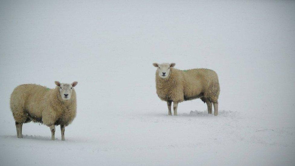 Shauna McCloskey took this photo in the Sperrins