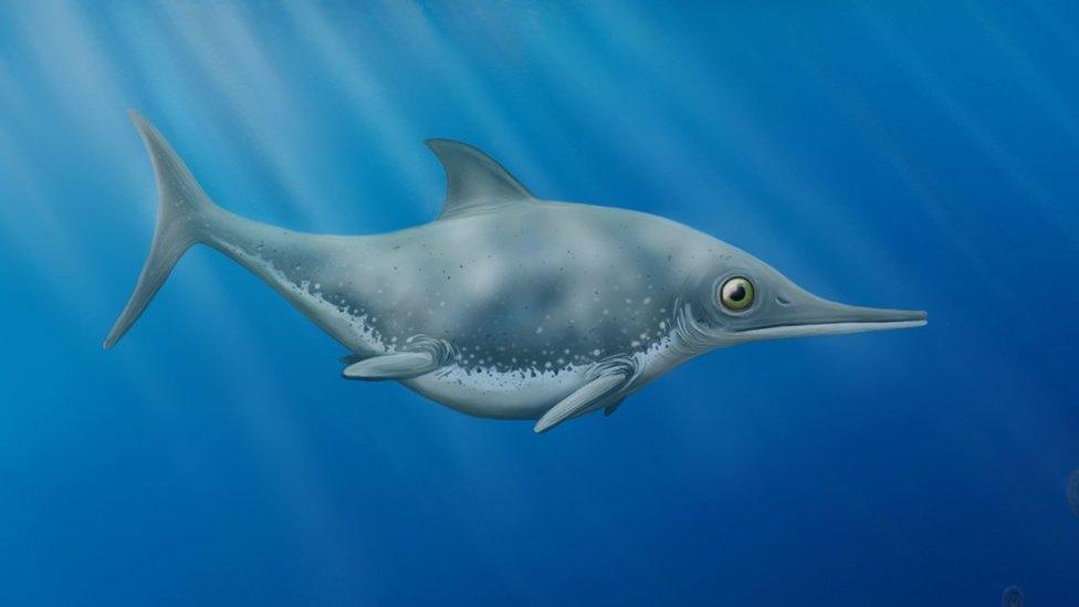 Ichthyosaur.