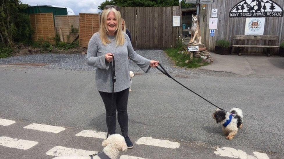 Karen Jones from Penclawdd with newly adopted Cavachon Archie