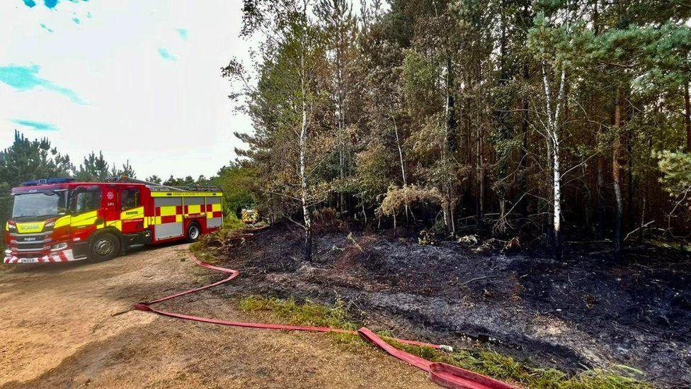 Fire engine on left with another in distance behind red hoses lie flat on the torched grass next to black undergrowth