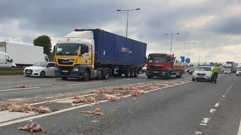 Dead birds on M62