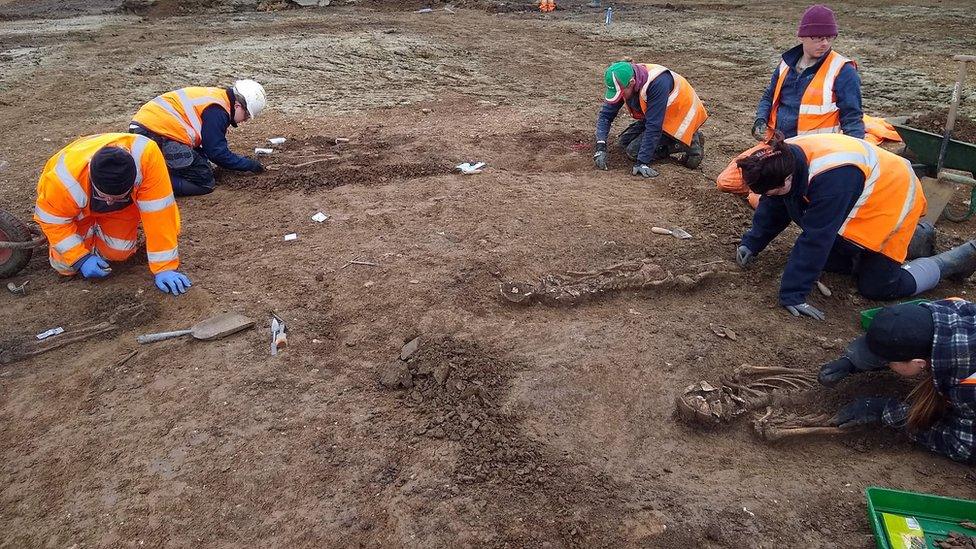 Archaeologists dig in the earth around uncovered skeletons