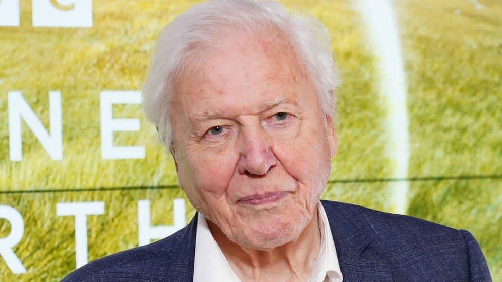 David Attenborough