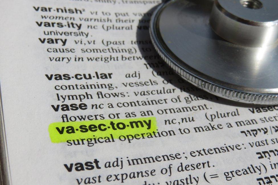 Definition of vasectomy in a dictionary