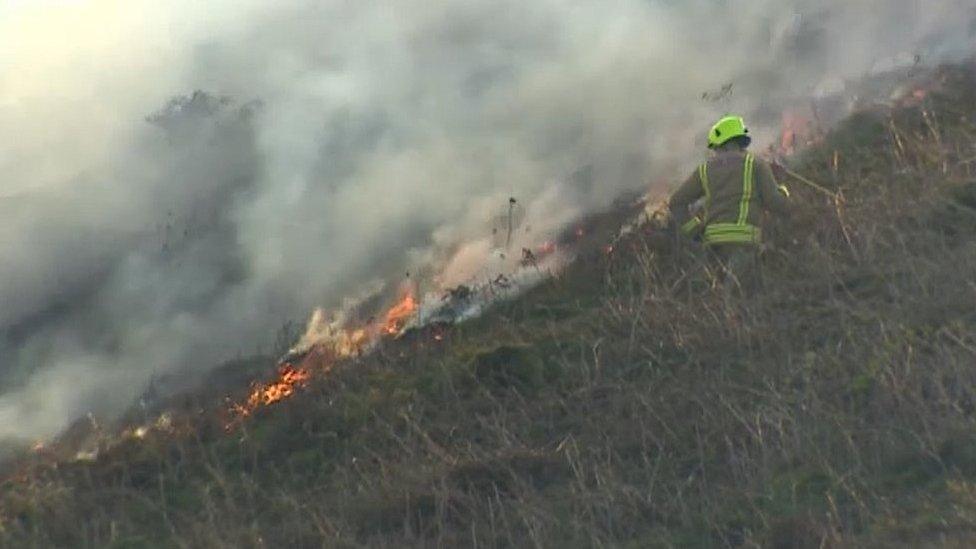 Grass fire in Machen