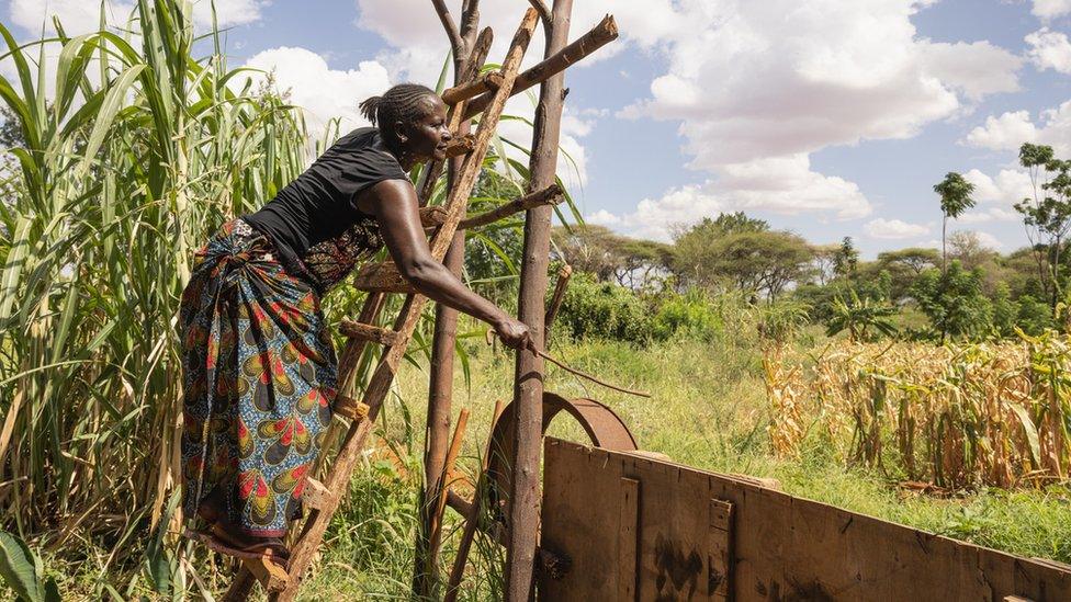 Woman leaning over a fence