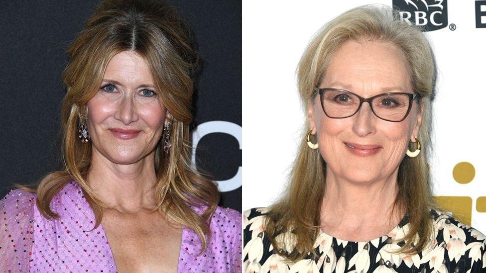 Laura Dern and Meryl Streep