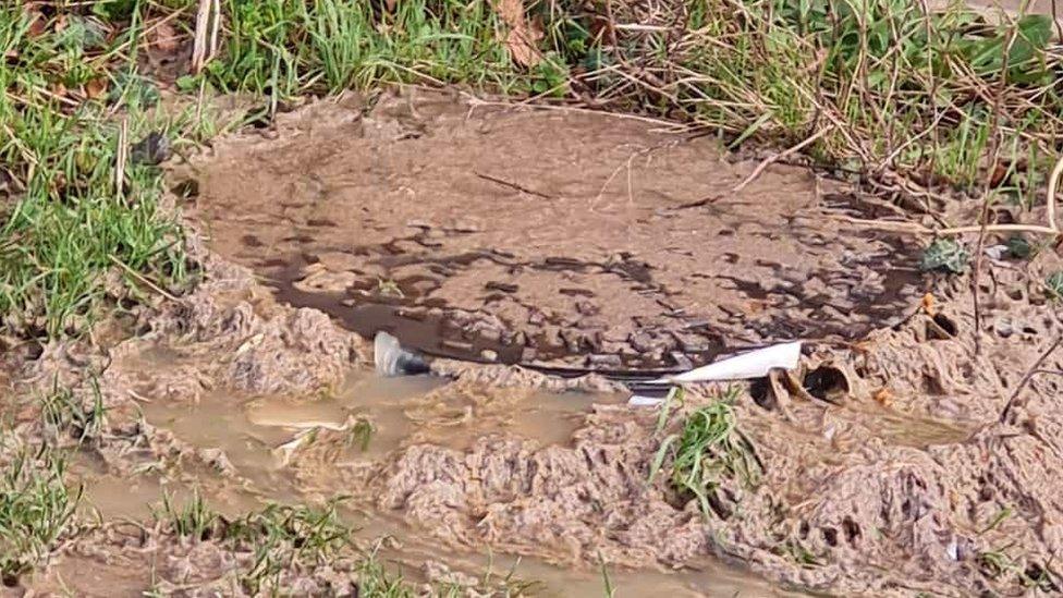 The drain on Barn Owl Close