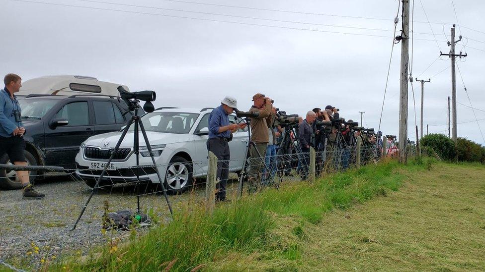 About 20 birdwatchers with their camera wait for the Egyptian vulture