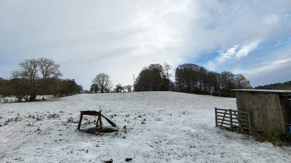 Snow on field