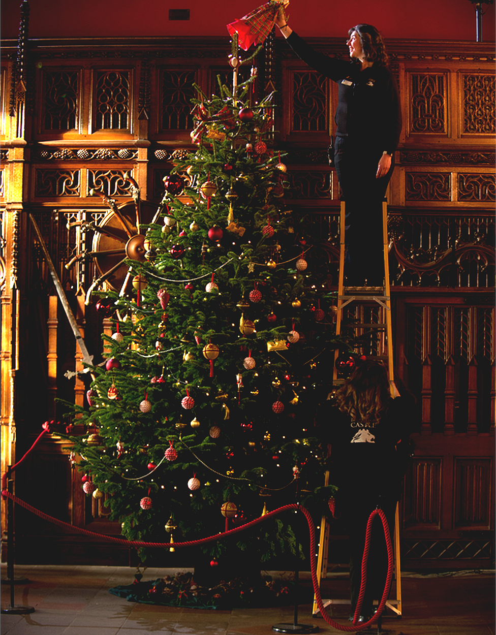 Edinburgh Castle tree