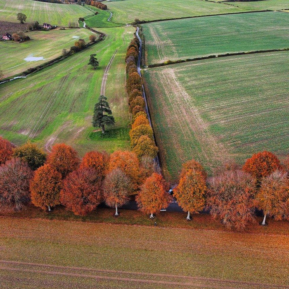 MONDAY - Cranborne Chase