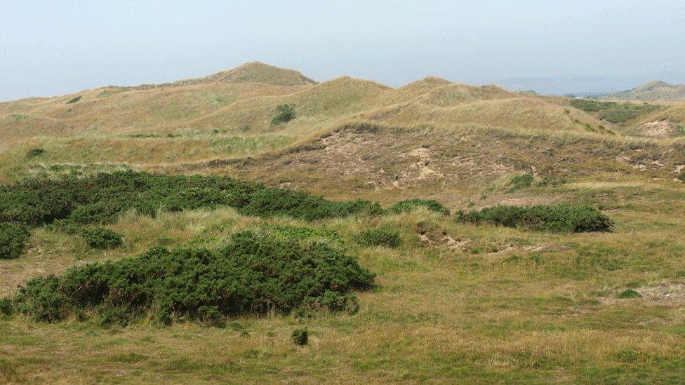 Dune peaks