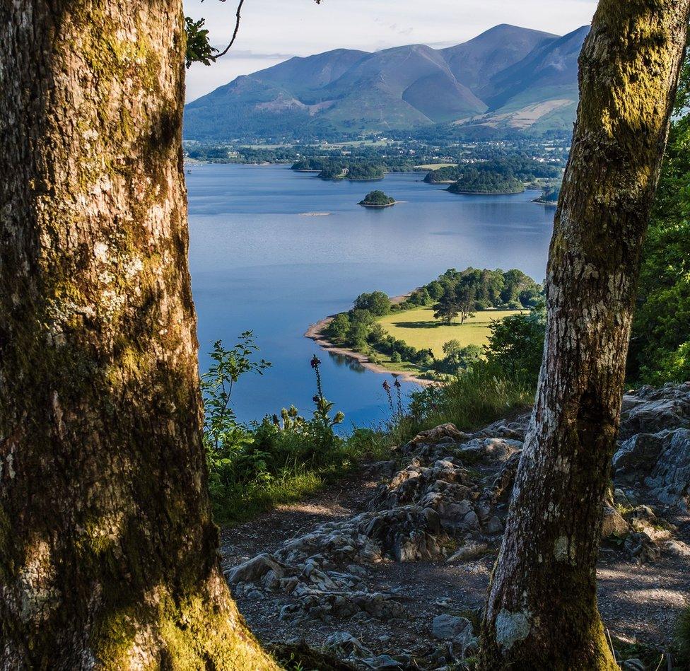 A view of a lake and distant hills glimpsed between two trees