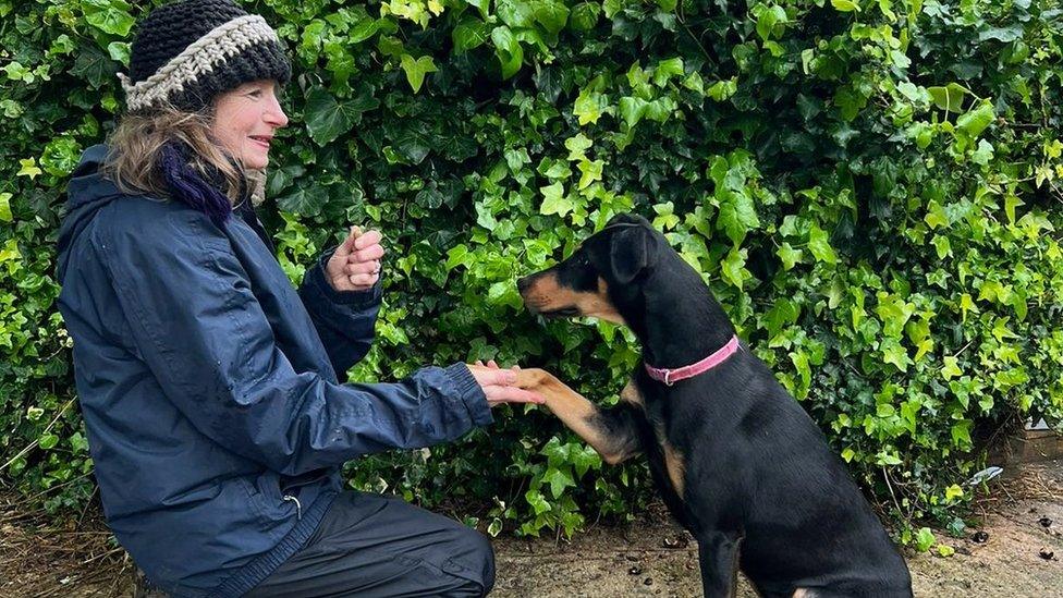 Nina Harris shakes the paw of rescue dog Roxy