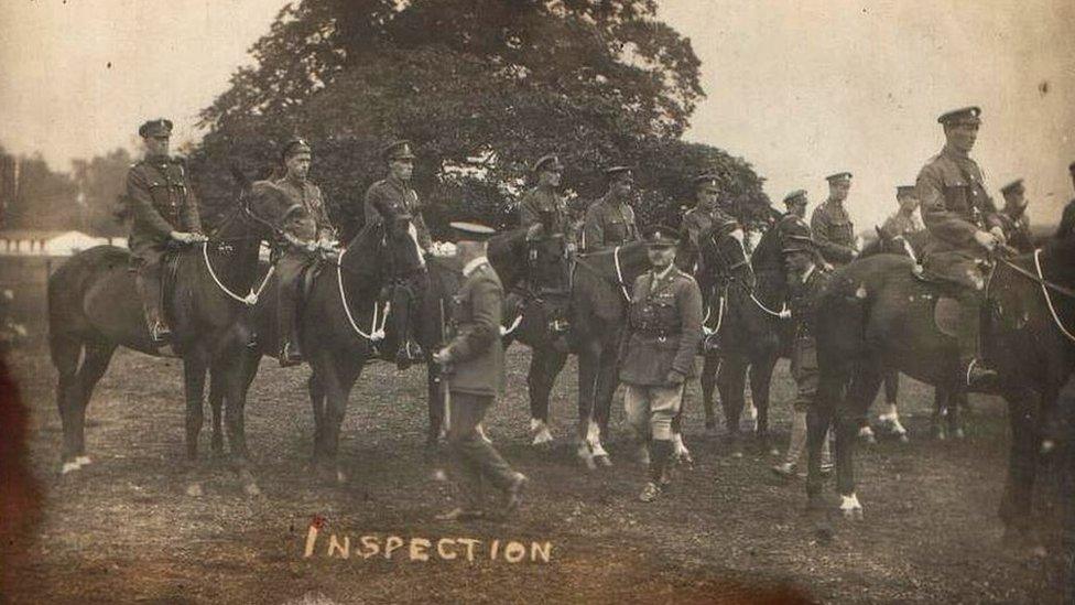 Horses at Lathom Park