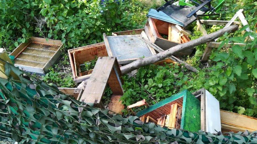 The damaged beehives