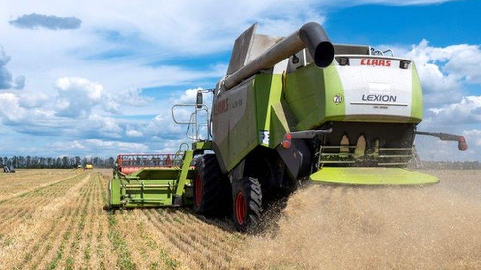 Farmers harvest a wheat field in the Ukrainian Kharkiv region on July 19, 2022, amid Russian invasion of Ukraine