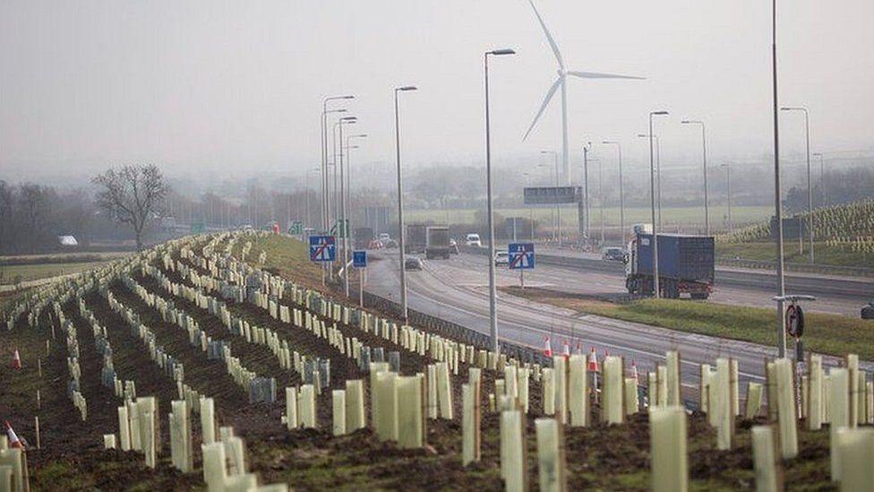 Tree planting on the embankment of a dual carriageway road. The saplings are protected by white plastic tubing. End of motorway signage is visible on a sliproad, with lorries and cars on the dual carriageway itself.