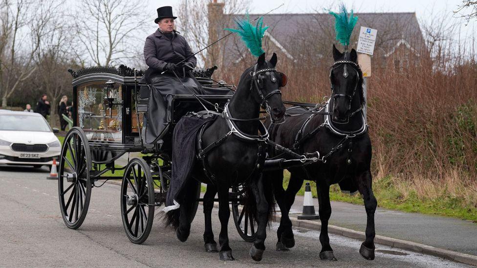 Black horse-drawn hearse pulled by to black horses with green feathered head plumes