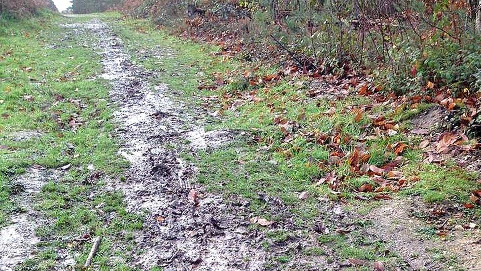 Muddy path en route to The Willink from Mortimer