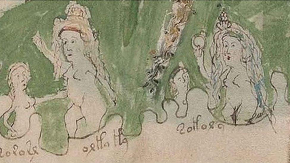 Voynich manuscript